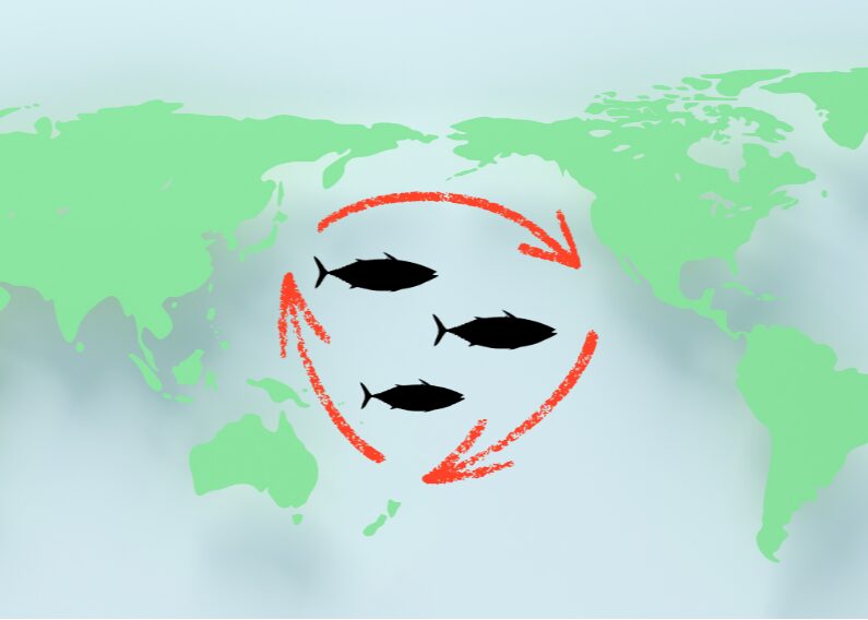 EB998A23-42E8-47D5-95FC-684FB30470B5